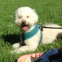 David Clarkson Email & Phone Number