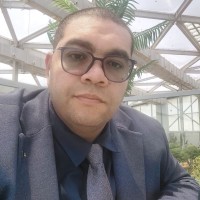 NIGM LLC Employee Sherif Saleh's profile photo