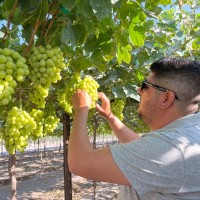 Vivero Los Cabos Employee Alessandro Armas Rubio's profile photo