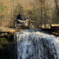 BVLA Employee Brianna Sheehan's profile photo