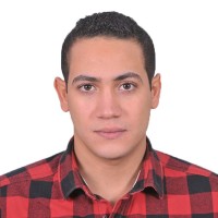 مركز المعلومات ودعم اتخاذ القرار بمجلس الوزراء - Information and Decision Support Center IDSC Employee Moaaz Youssef's profile photo