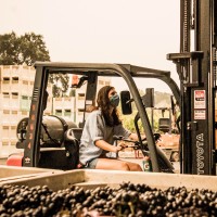 Parcelle wine Employee Sarah Lopreiato's profile photo