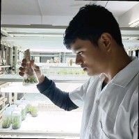 Jayesh Barhate Email