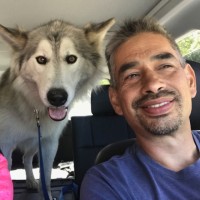 Roche Fruit Employee Shane Langwell's profile photo