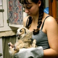 City Wildlife, Inc. Employee Stephanie Dreher's profile photo