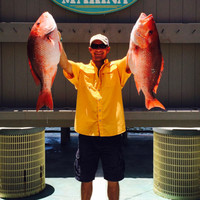 Eutaw Construction Company, Inc. Employee Don Stewart's profile photo