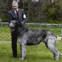 Lab Products, Inc Employee Robert Graves's profile photo