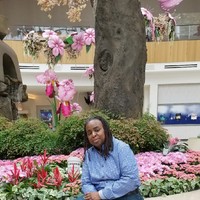 Denice Scott Email & Phone Number