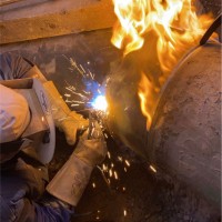 Monkh Bujiimaa Email & Phone Number