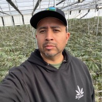 Glass House Farms Employee Miguel Campos's profile photo