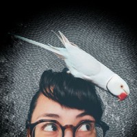 SKB Cases Employee Ceecee Vandiver's profile photo