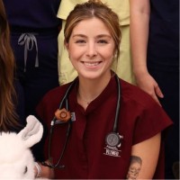 Washington State University College of Veterinary Medicine Employee Hanna Sihler's profile photo