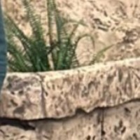 Amazon Employee Ranjeeth Kumar's profile photo