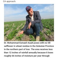 Mohammad Asadi Email