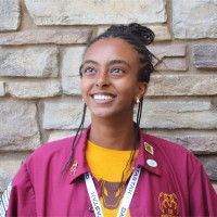 Afomia Mesfin Email