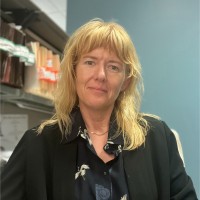 Meshbesher & Spence - Personal Injury Lawyers Employee O'Calla Joslyn's profile photo