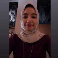 Alaa Hossam Email & Phone Number