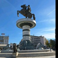 Titan Frozen Fruit Employee Steve Stevkovski's profile photo