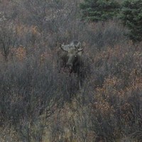 mhm Employee Judy Grantham's profile photo