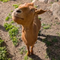 Evaro Employee Ray Q's profile photo