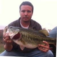 Jodey Taylor Email & Phone Number