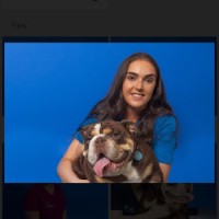 Village Vets Employee Hannah Doherty's profile photo