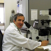Schneider Children's Medical Center of Israel Employee Shai Izraeli's profile photo