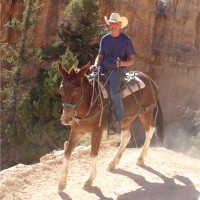 Alan Pearson Email & Phone Number
