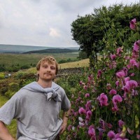 Henry Wilkinson Email