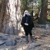 Anser Advisory Employee Debra Vaught's profile photo