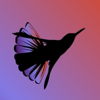 Heidi Williamson Email & Phone Number