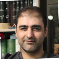 Hamed Caviyani Email