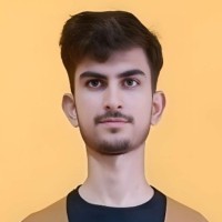 Fiverr Employee Ali Memon's profile photo