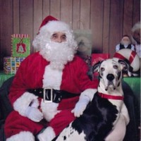 Atlantic Communications Employee Betty Johaneman's profile photo