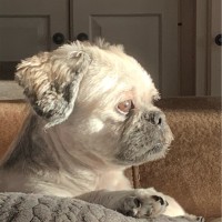 Brian Snell Email & Phone Number