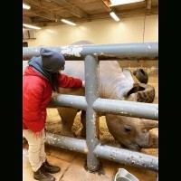Airpark Animal Hospital Employee Kristin Marciszewski's profile photo