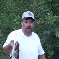 Jimbo Carlino Email
