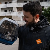 LAV Employee Dario D'Angelo's profile photo