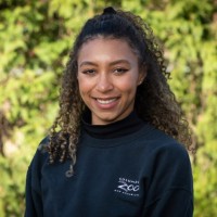 Alexis Vance-Townsend Email
