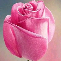 Asort.com Employee Mukesh Ambani's profile photo