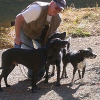 Wayne Phelps Email & Phone Number