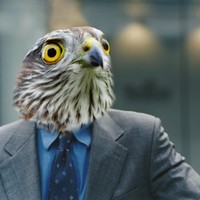 Night Hawk Frozen Foods Employee Harvey Hawk's profile photo