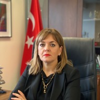 Ankara Büyükşehir Belediyesi Employee Günden Cinar's profile photo