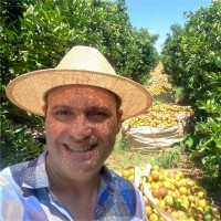 André Leonardo Email