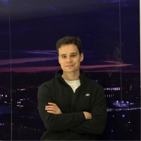 the LEGO Group Employee Andrei Bostan's profile photo