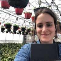 (IQDHO) Institut québécois du développement de l'horticulture ornementale Employee Marilyn Lamoureux's profile photo