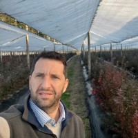 EXTRABERRIES Employee Emmanuel Bruzzo's profile photo