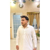Amtech Systems Employee Waleed Ghani's profile photo
