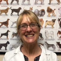 Santa Clara Pet Hospital Employee Jennifer MacQuiddy's profile photo