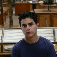 GTranslate Inc. Employee Grikor Ferechetian's profile photo